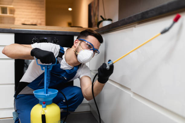 Best Best Pest Control Companies  in Lula, GA