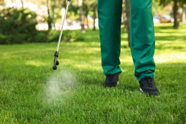 Best Emergency Pest Control  in Lula, GA