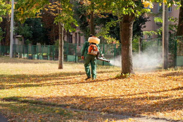 Pest Control Cost in Lula, GA