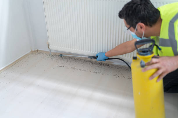 Best Commercial Pest Control Services  in Lula, GA