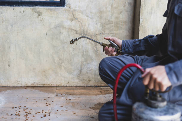 Best Pest Inspection Near Me  in Lula, GA