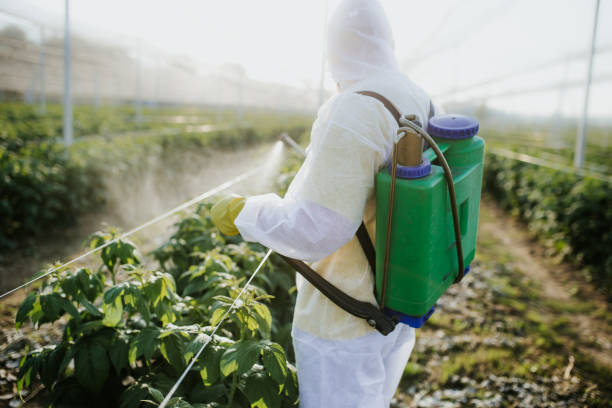 Reliable Lula, GA Pest Control Solutions
